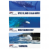 Sublimated Beach Towel