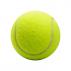 Dog Tennis