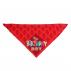 Triangle Pet Bandana
