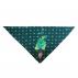 Triangle Pet Bandana