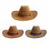 Light Up Straw Hats