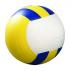 Volleyball Shape Stress Reliver