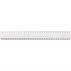 Economy Ruler 30cm
