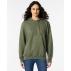 Gildan Softstyle Adult Hooded Sweatshirt