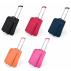 Foldable Trolley Dunant