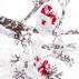 Christmas Decoration Set Tainox