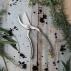 Nature Secateurs